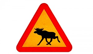 Moose road sign